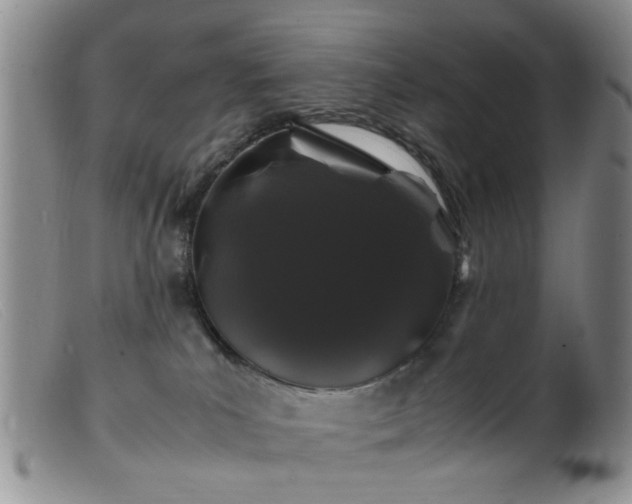 X0000099470039200805161121