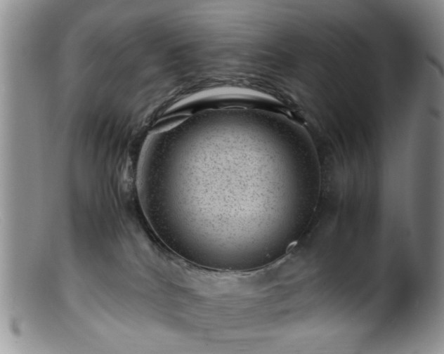 X0000099470040200805161121