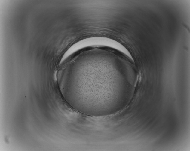 X0000099470041200805161121