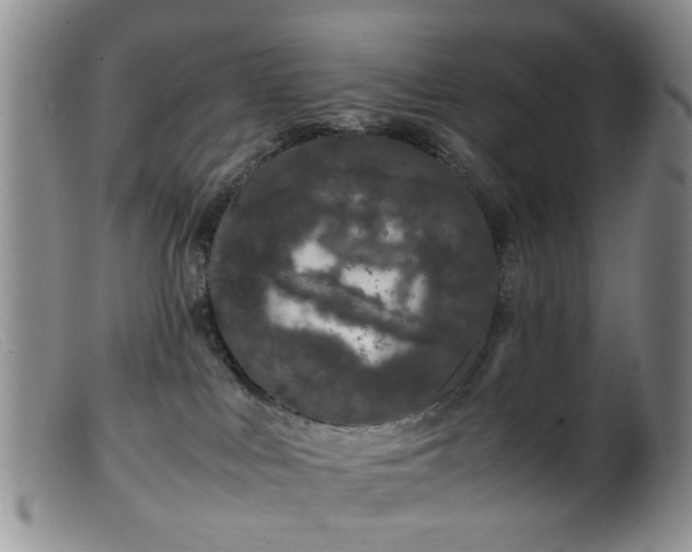 X0000099470043200805161121