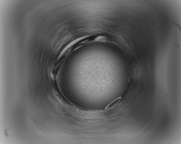 X0000099470044200805161121