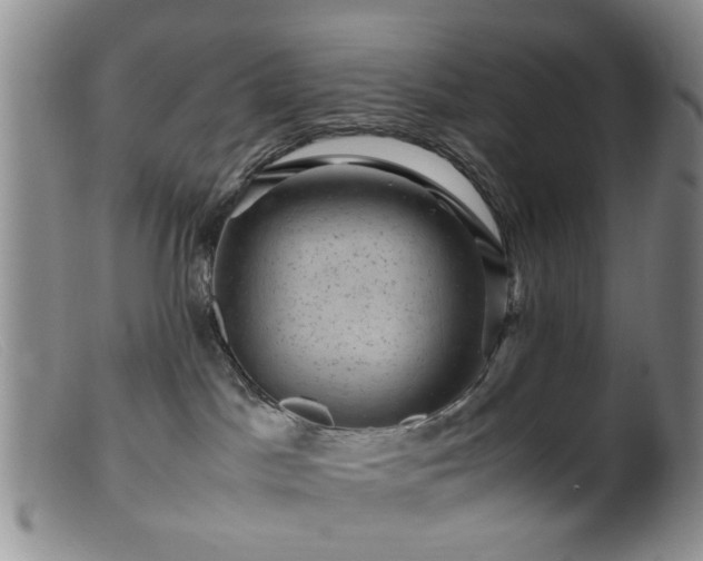 X0000099470045200805161121