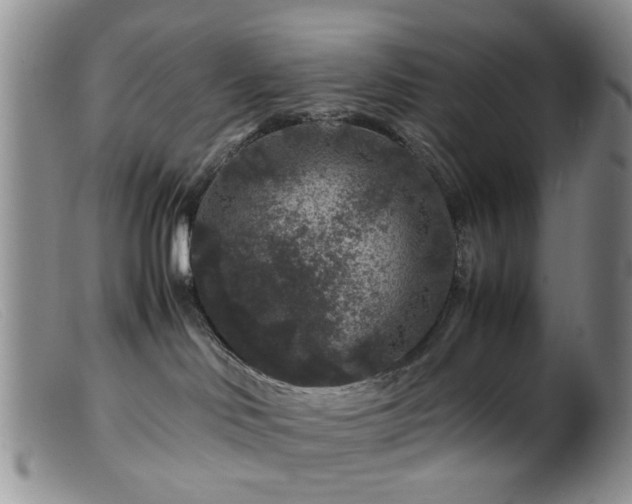 X0000099470046200805161121