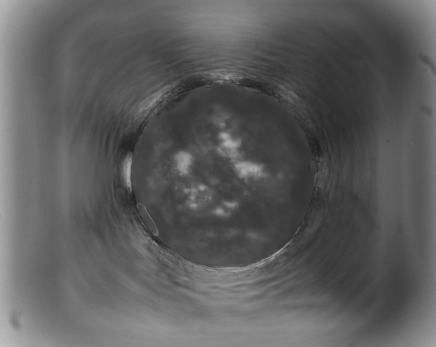 X0000099470047200805161121