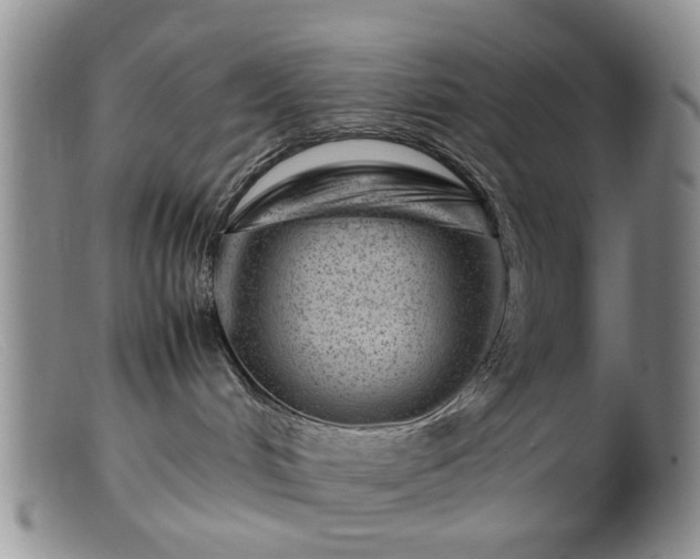 X0000099470048200805161121