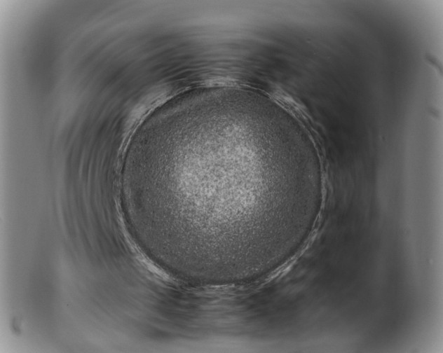 X0000099470049200805161120