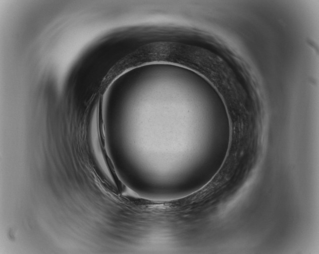 X0000099470050200805161120