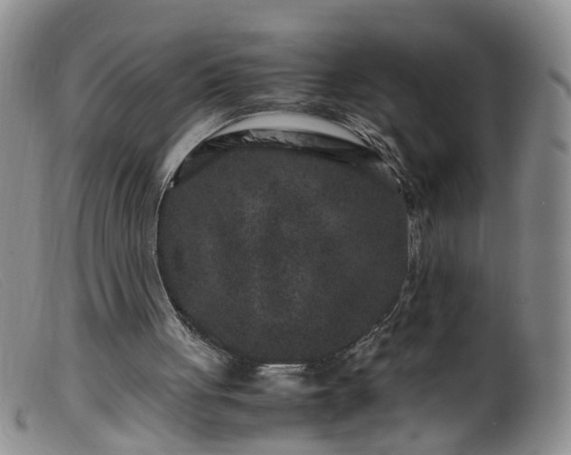 X0000099470051200805161120