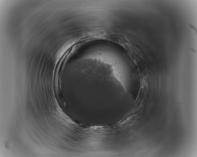 X0000099470052200805161120