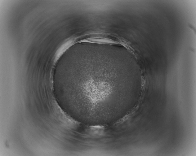 X0000099470053200805161120