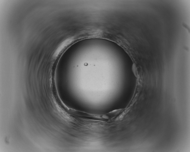 X0000099470054200805161121