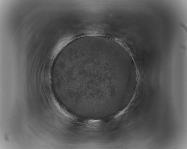 X0000099470055200805161121