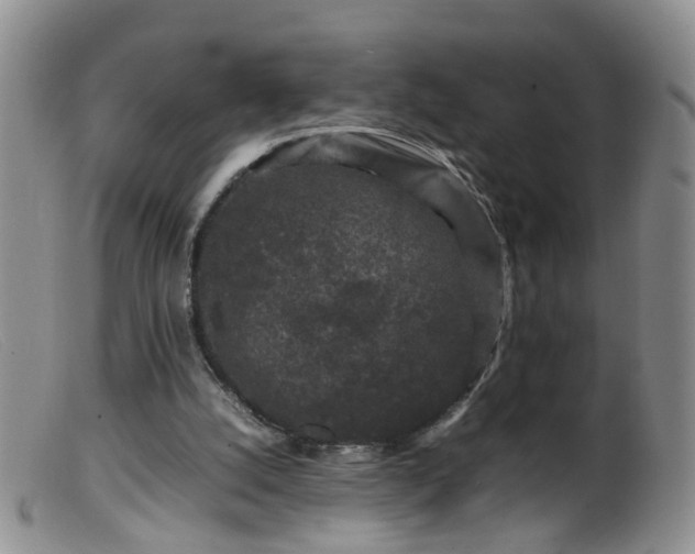 X0000099470056200805161121
