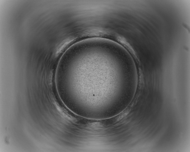 X0000099470058200805161121