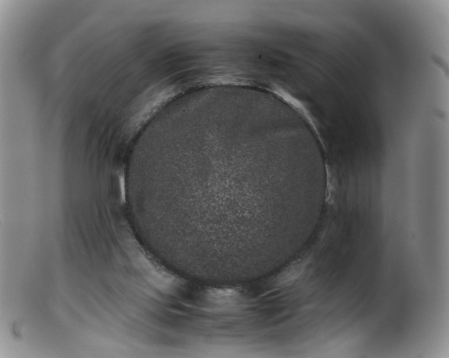 X0000099470061200805161121
