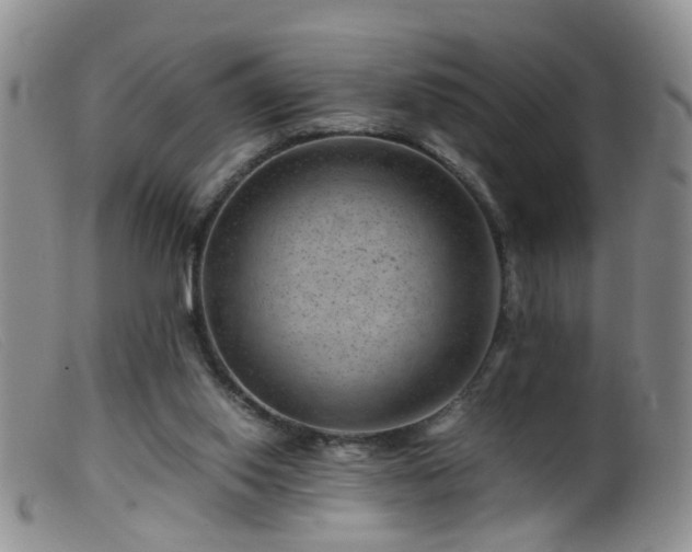 X0000099470062200805161121