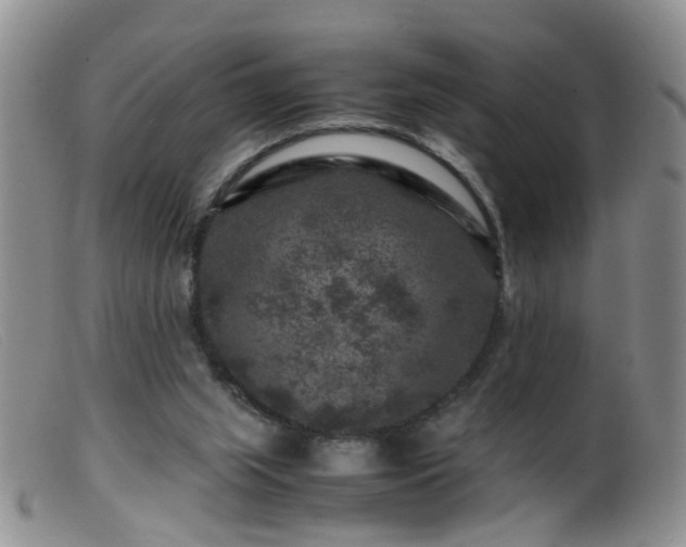 X0000099470063200805161121
