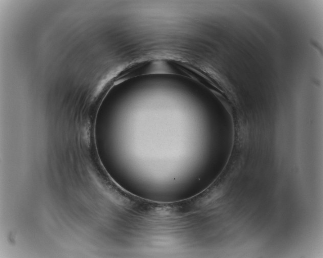 X0000099470064200805161121