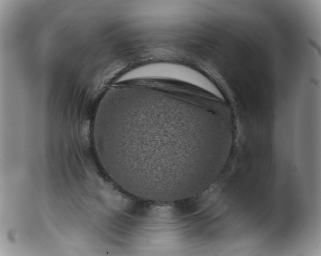 X0000099470066200805161121