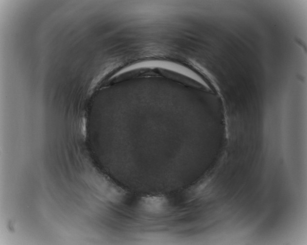 X0000099470067200805161121
