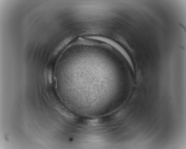 X0000099470068200805161121