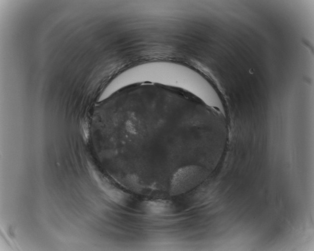 X0000099470069200805161121