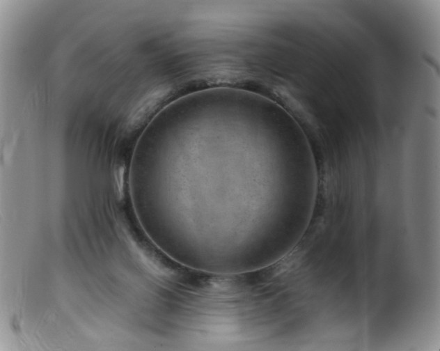 X0000099470070200805161121