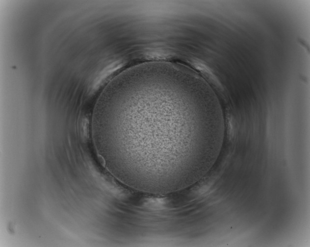 X0000099470071200805161121