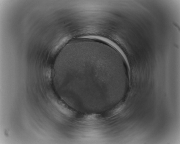 X0000099470072200805161121