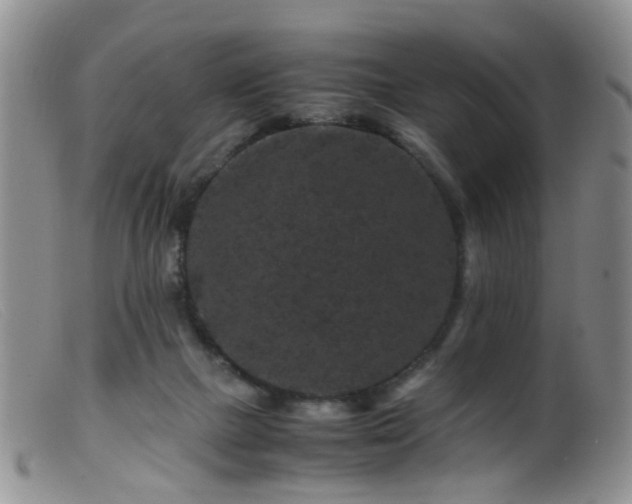 X0000099470073200805161121