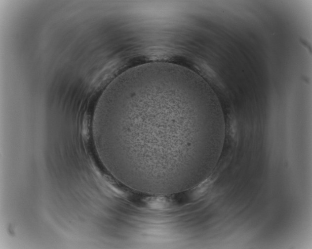 X0000099470074200805161121