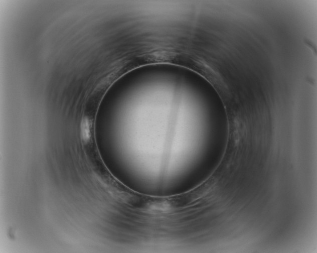 X0000099470075200805161121