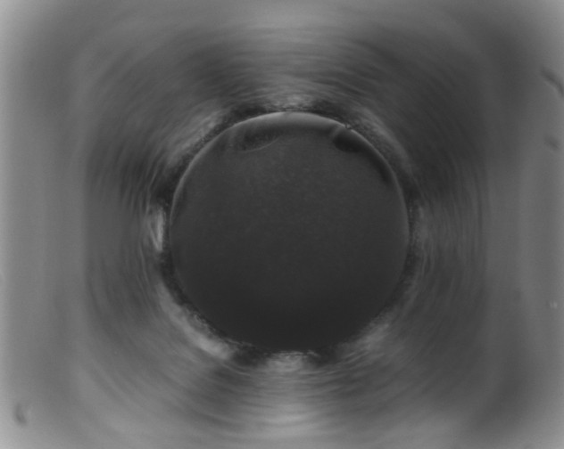 X0000099470076200805161121