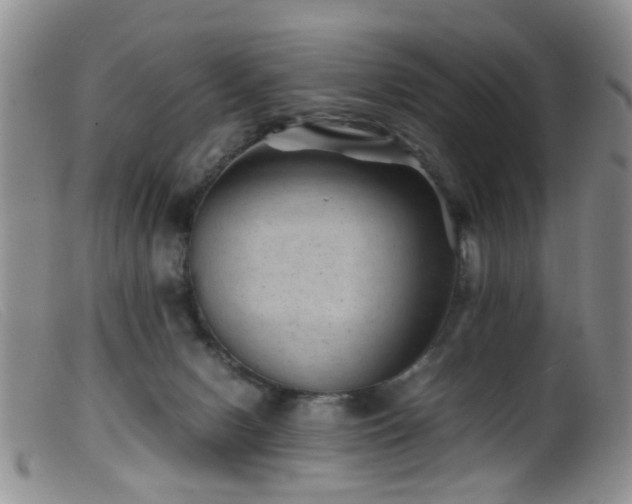 X0000099470078200805161121