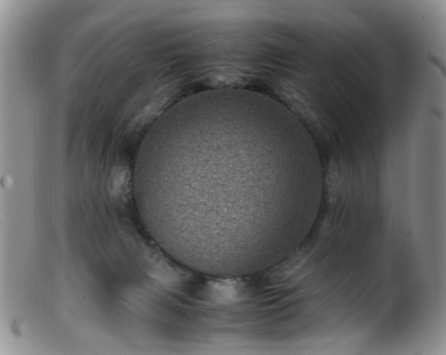 X0000099470079200805161121