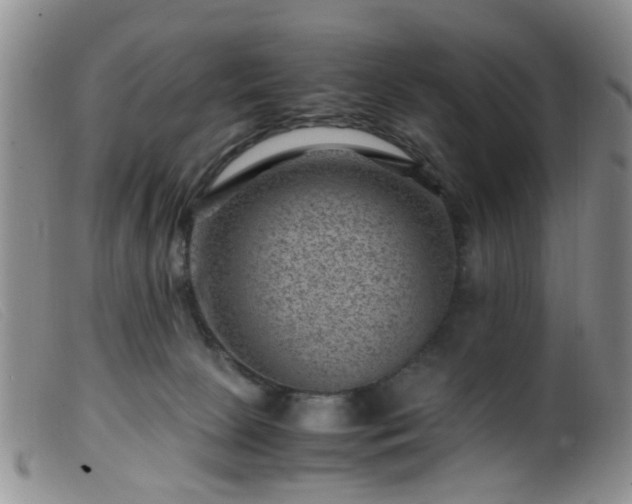 X0000099470081200805161121