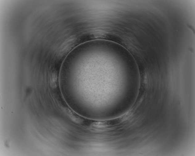 X0000099470082200805161121