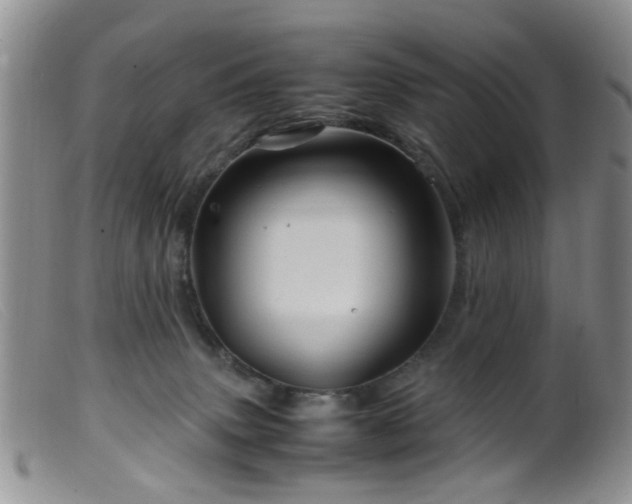X0000099470083200805161121