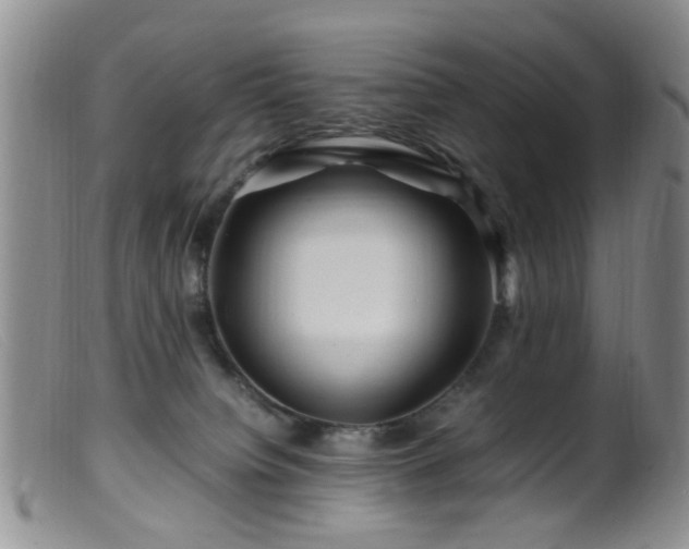 X0000099470084200805161121