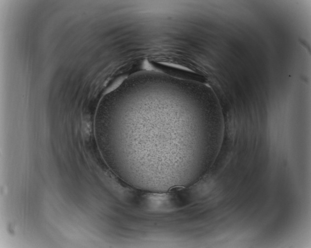 X0000099470085200805161121