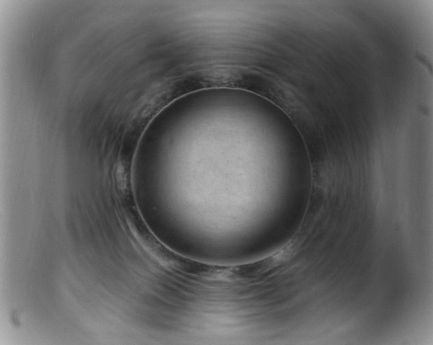 X0000099470086200805161121