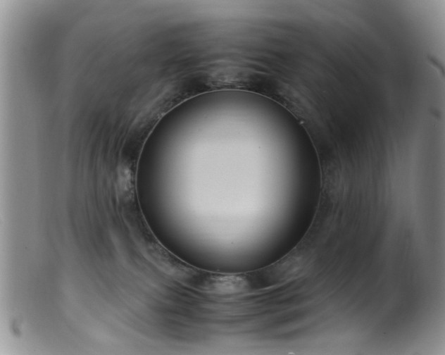X0000099470087200805161121