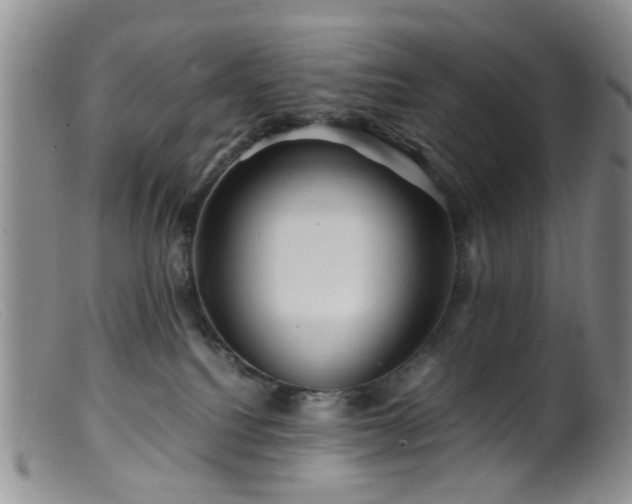 X0000099470088200805161121
