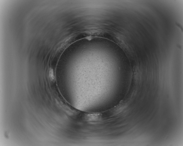 X0000099470089200805161121