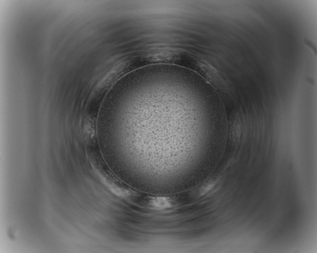 X0000099470091200805161121