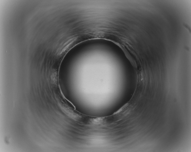 X0000099470092200805161121