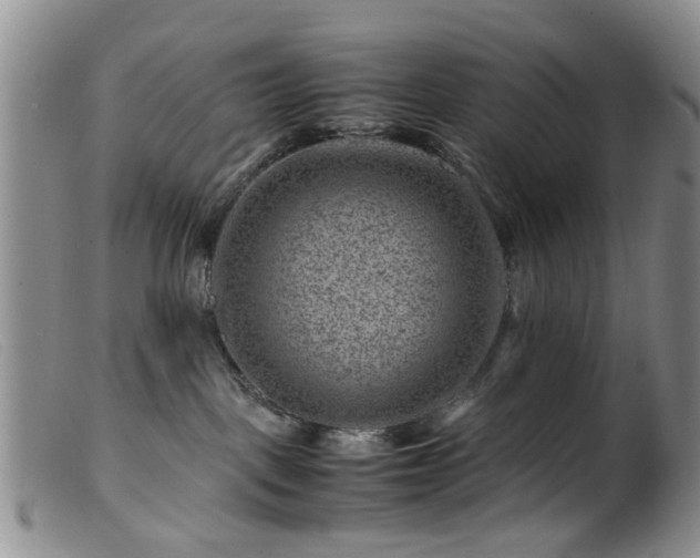 X0000099470093200805161121