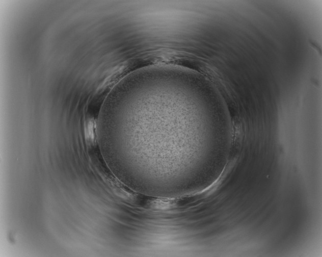 X0000099470094200805161121
