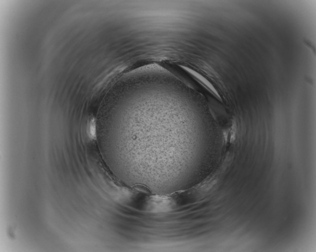 X0000099470095200805161121