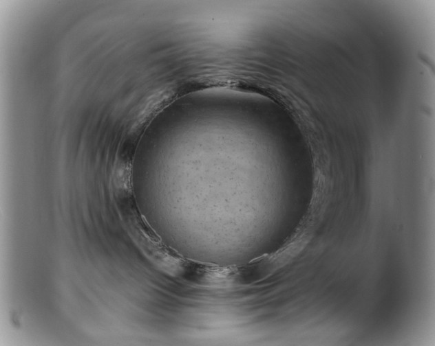 X0000099470096200805161121